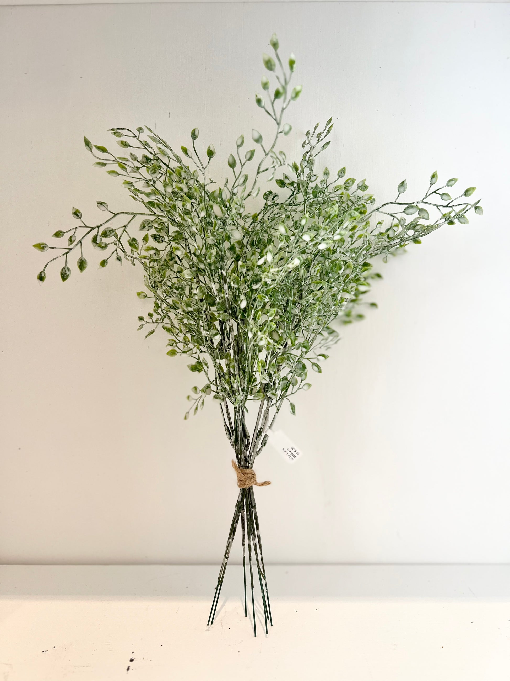 Little Luna Mini Bush-Green