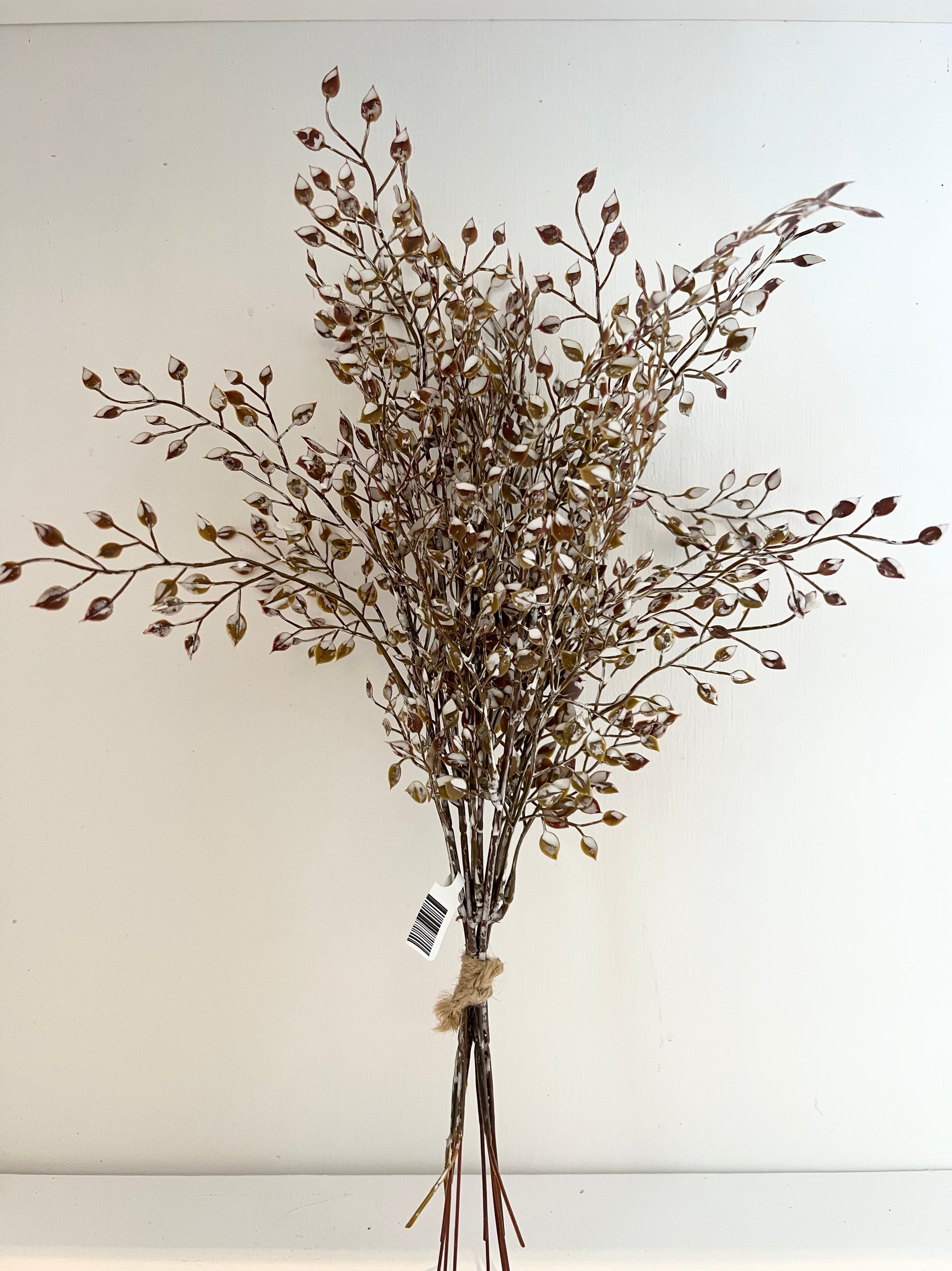 Little Luna Mini Bush-Brown
