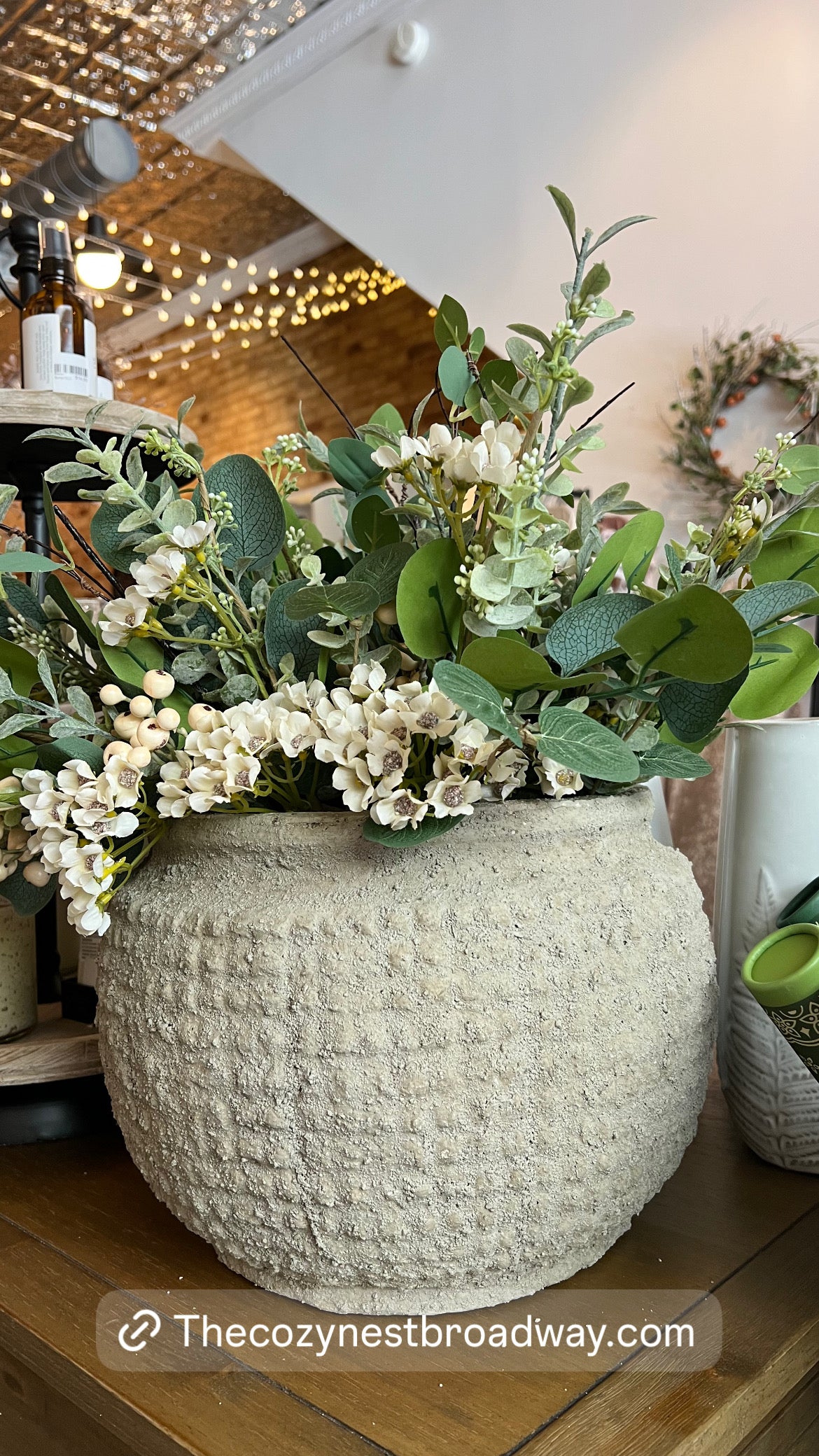 Waxflower Bush