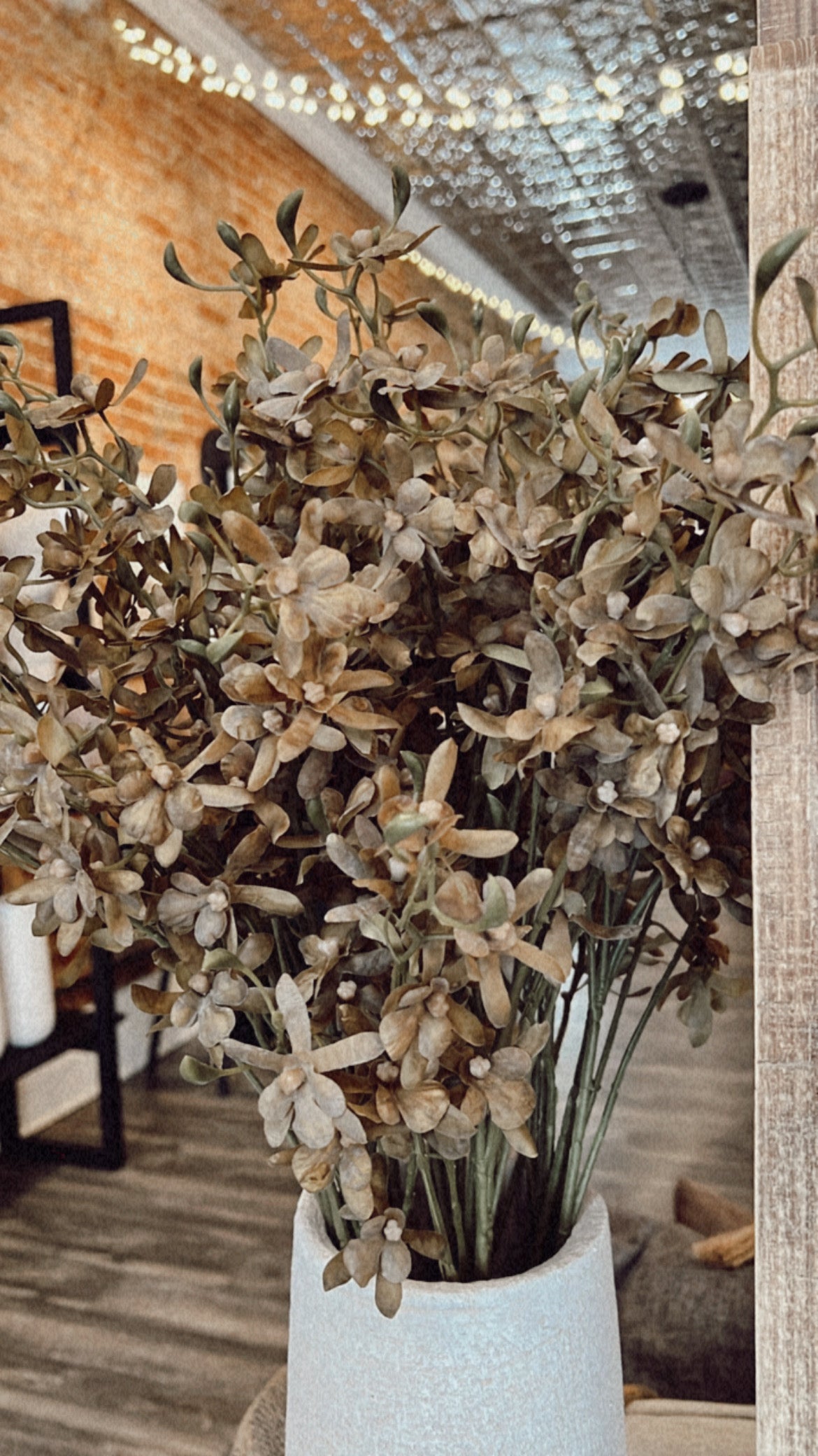 Green Orchid Stem