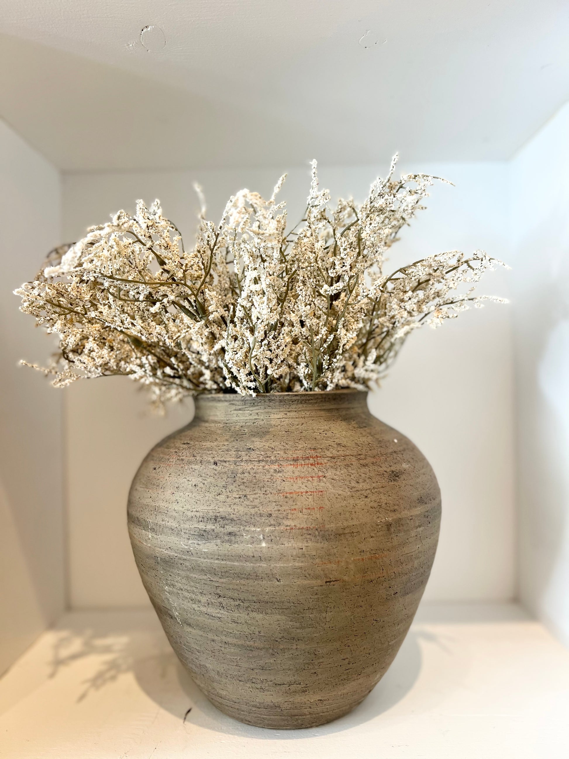 Caspia Bush