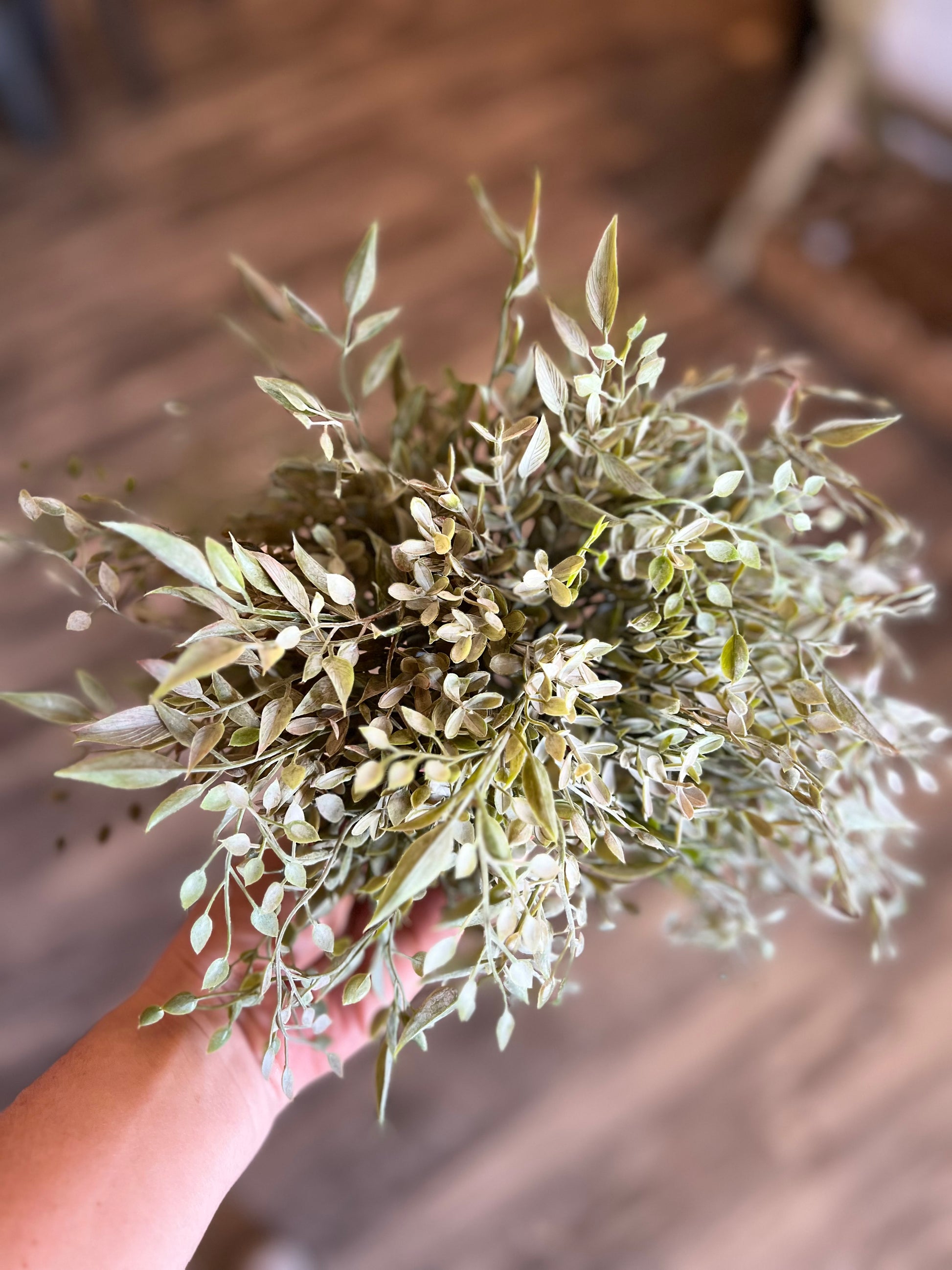 Mixed Sage Sphere