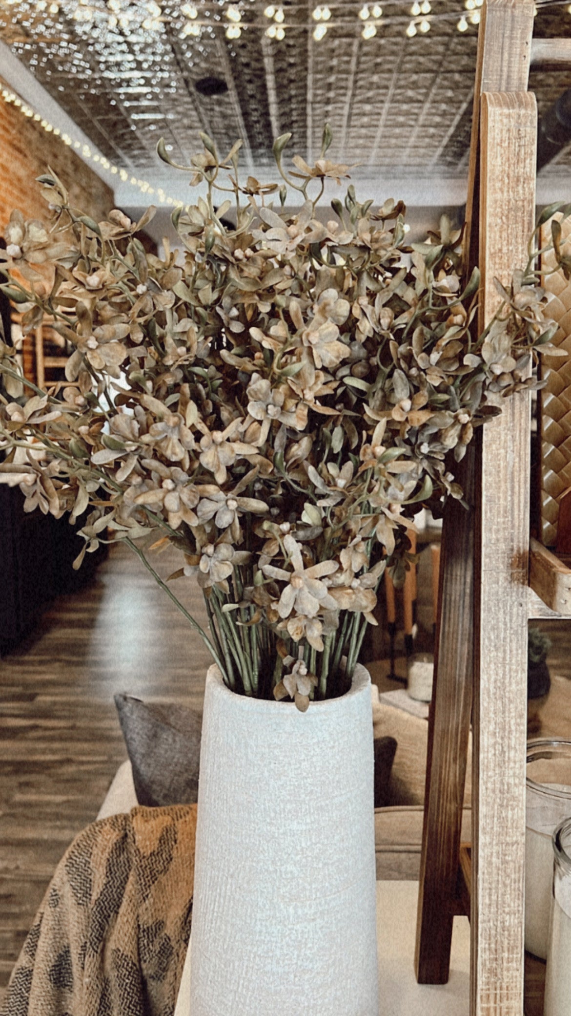 Green Orchid Stem