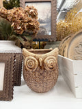 Ceramic Owl Pot