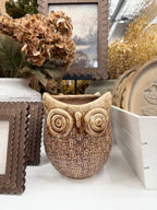 Ceramic Owl Pot