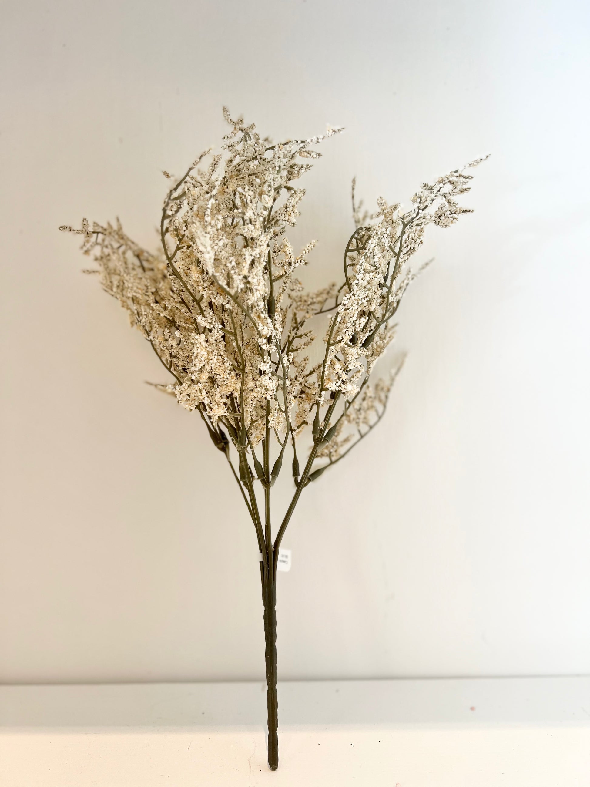 Caspia Bush
