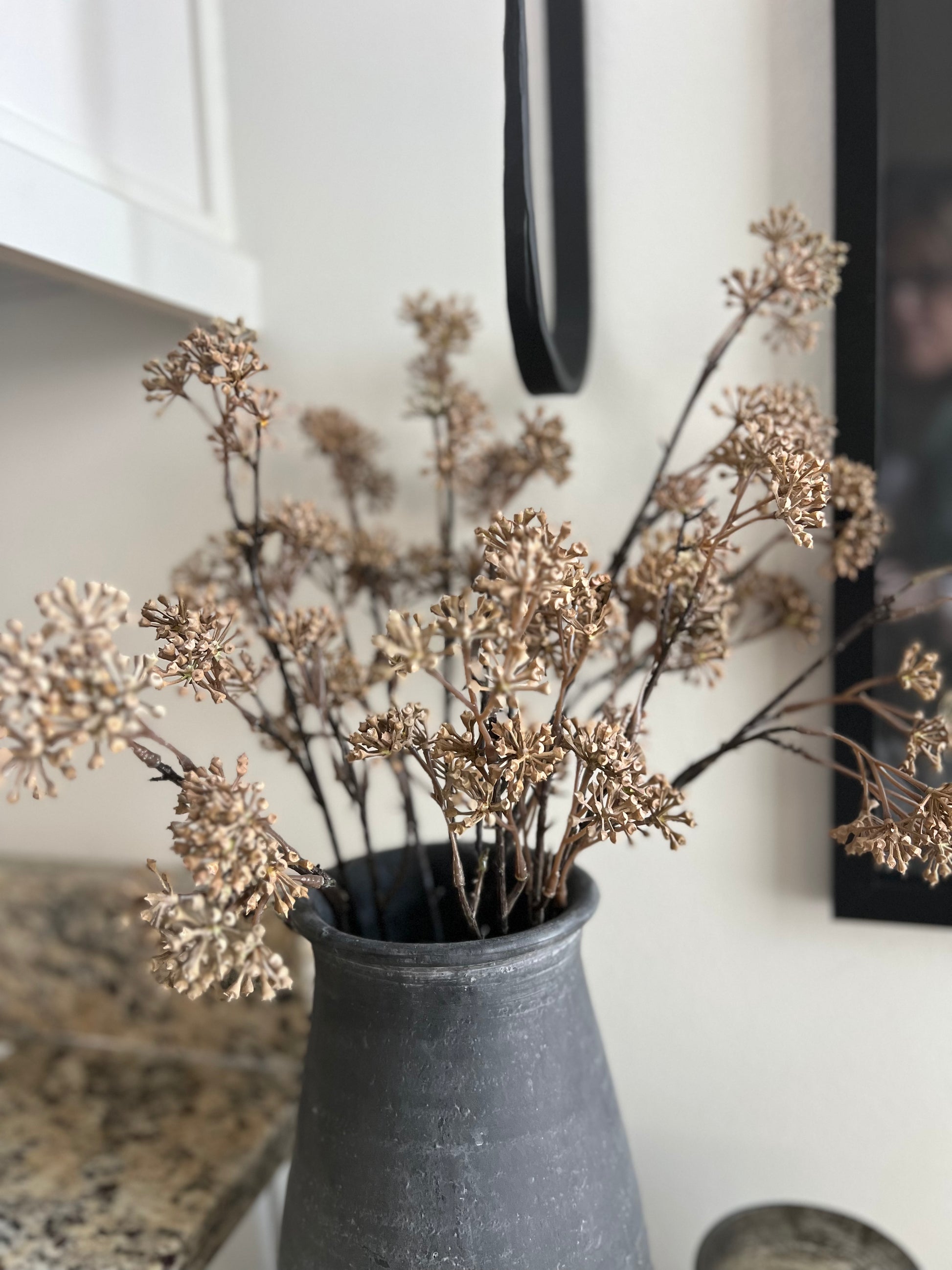 Natural Aralia Stem