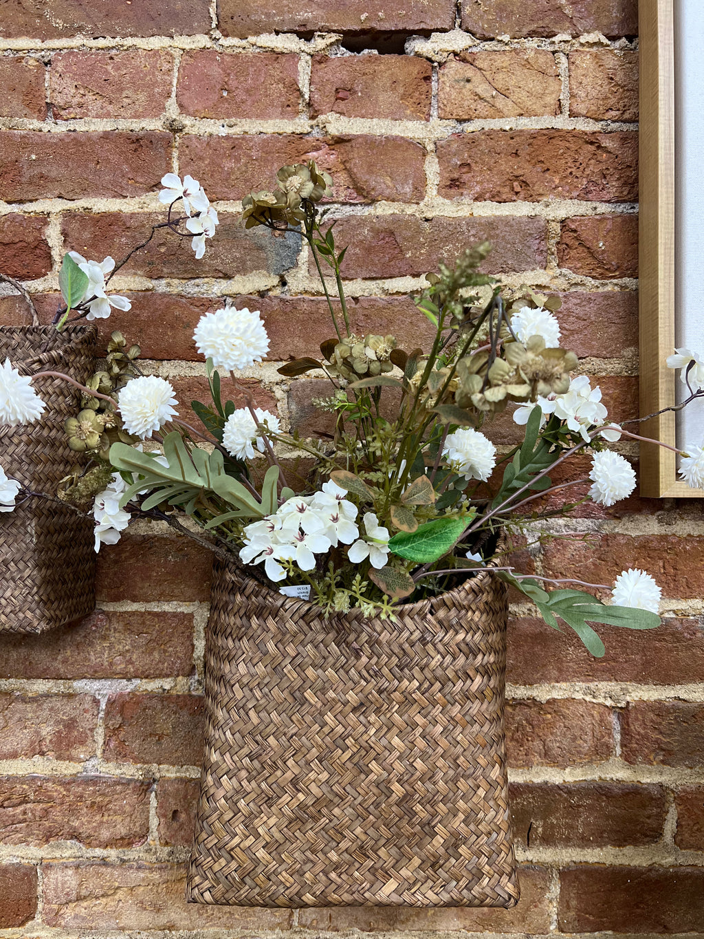Pom Pom Stem In Ivory