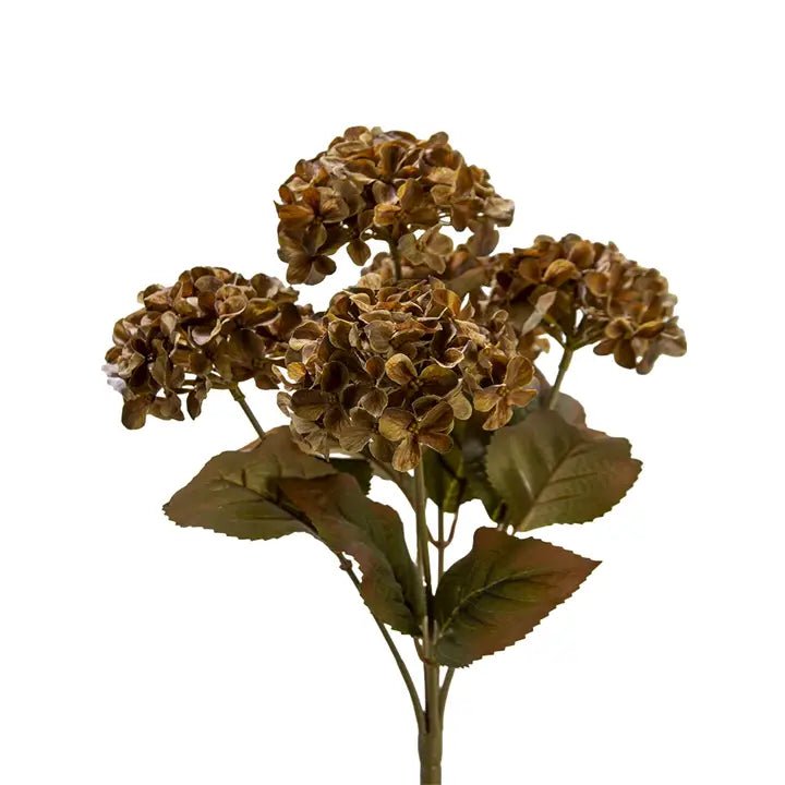 Brown Hydrangea Bush - The Cozy Nest