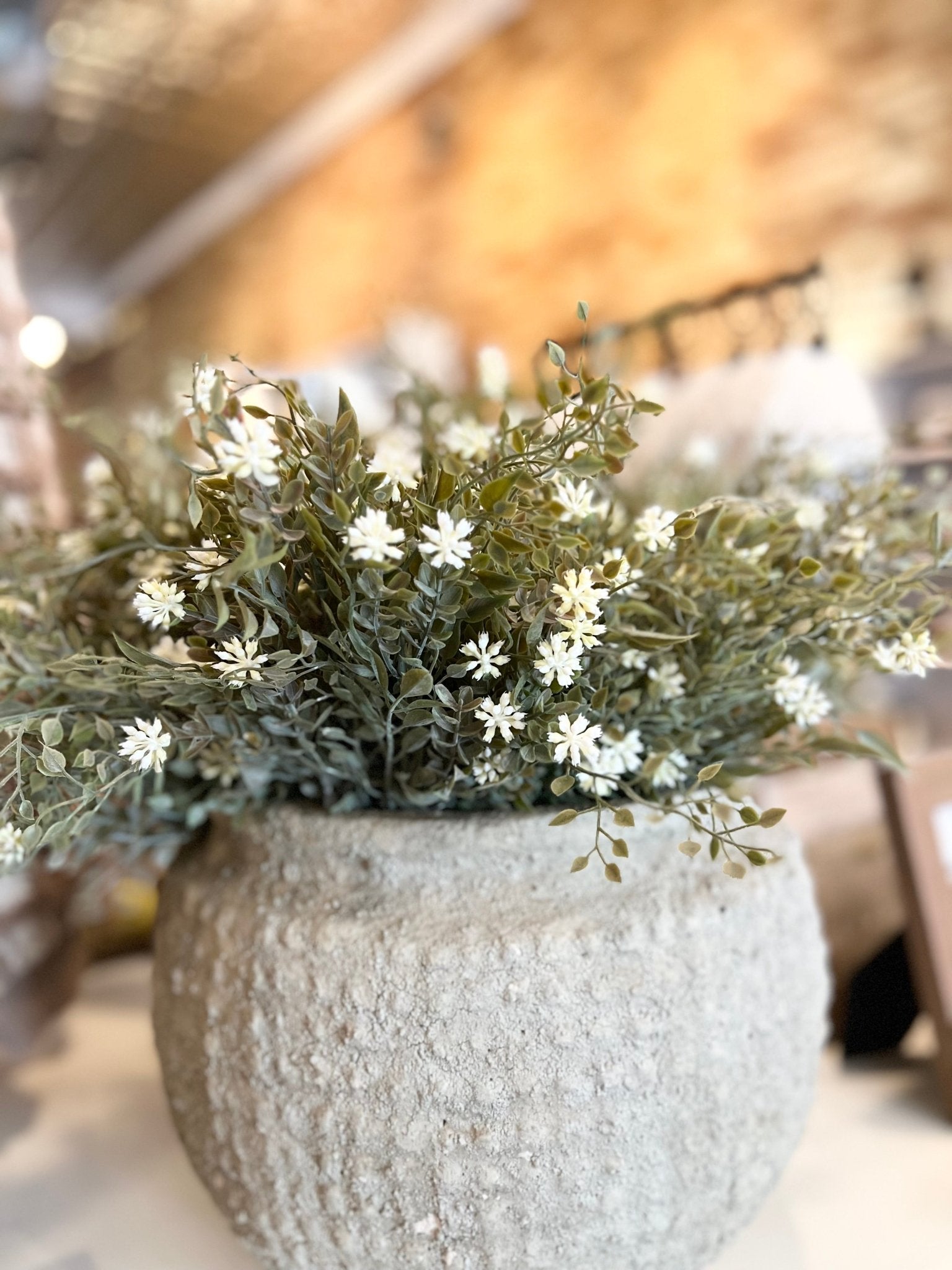 Chadwicks Bloom Bush - The Cozy Nest