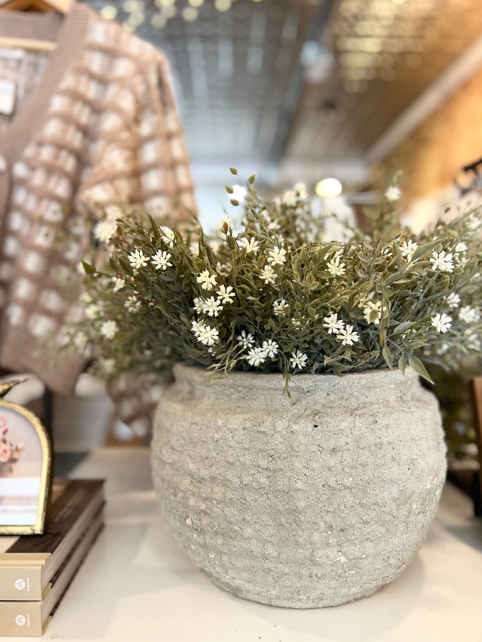 Chadwicks Bloom Bush - The Cozy Nest