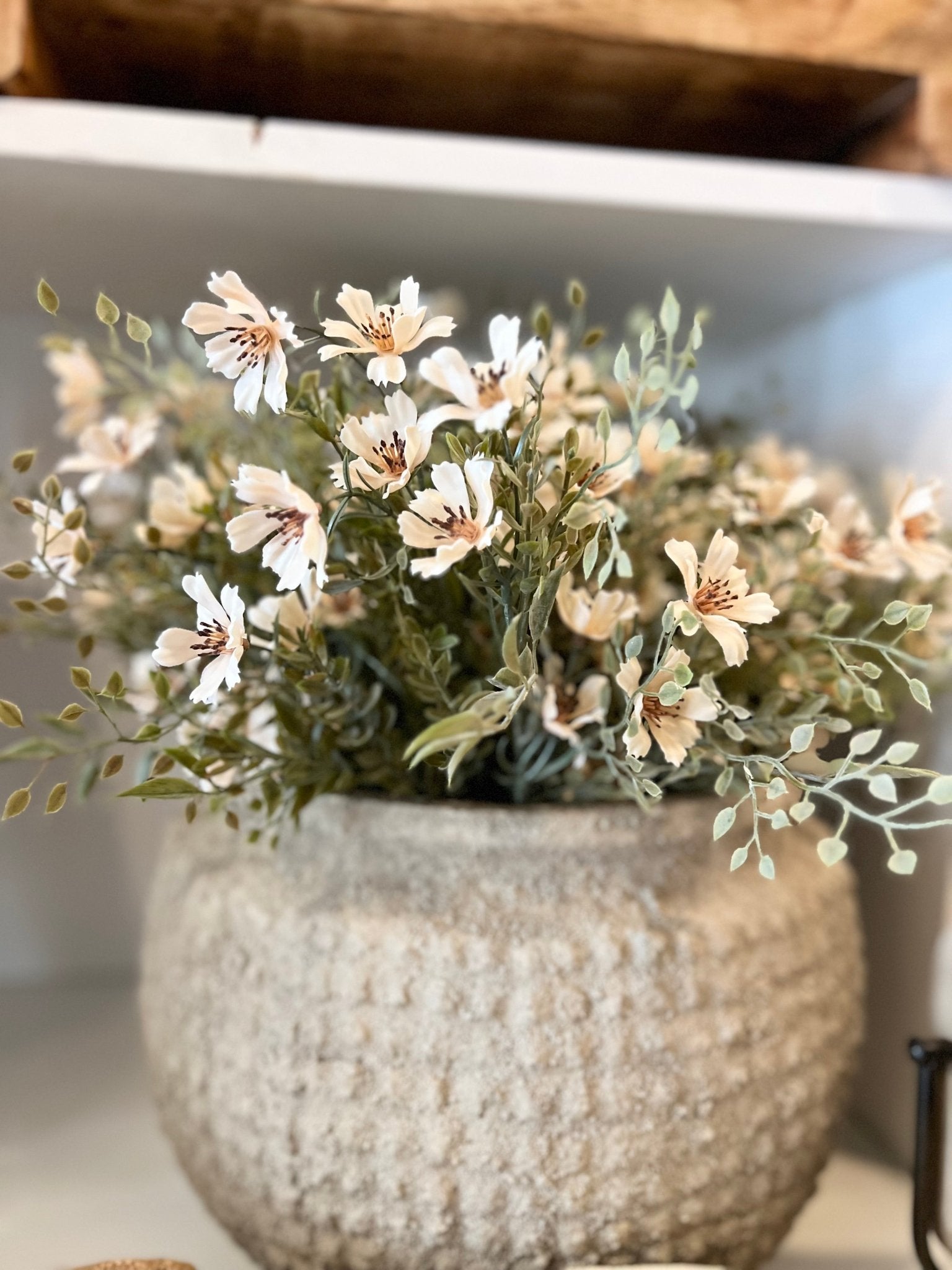 Charade Cosmos Bush - The Cozy Nest