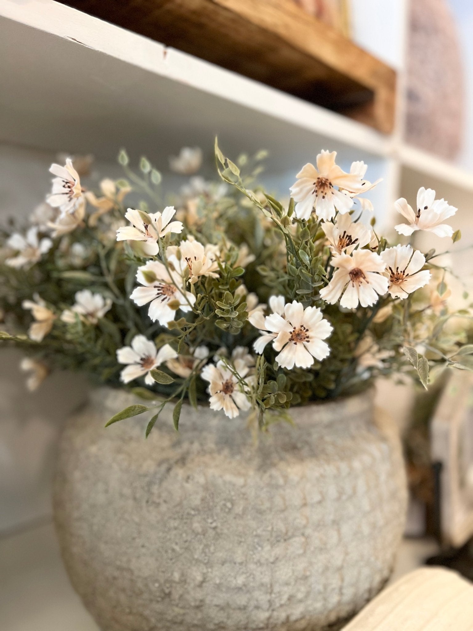 Charade Cosmos Bush - The Cozy Nest