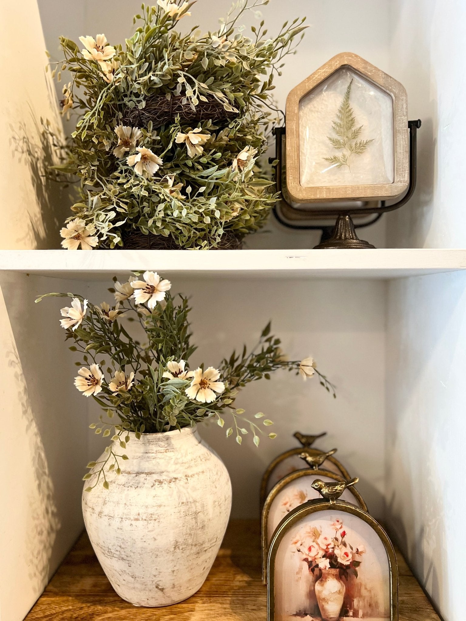 Charade Cosmos Bush - The Cozy Nest