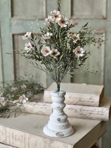 Charade Cosmos Bush - The Cozy Nest