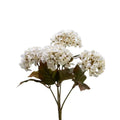Cream Hydrangea Bush - The Cozy Nest