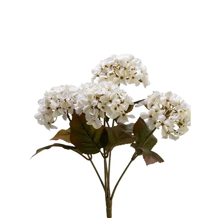 Cream Hydrangea Bush - The Cozy Nest