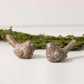 Embossed Bird Set - The Cozy Nest