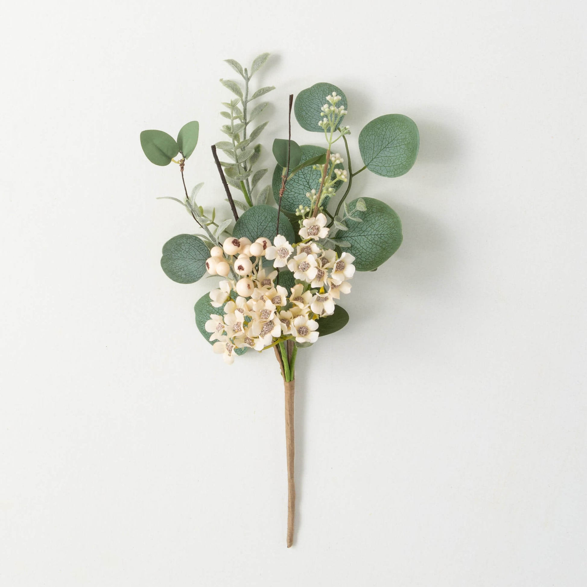 Waxflower Bush