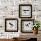 Framed Bird Prints - The Cozy Nest