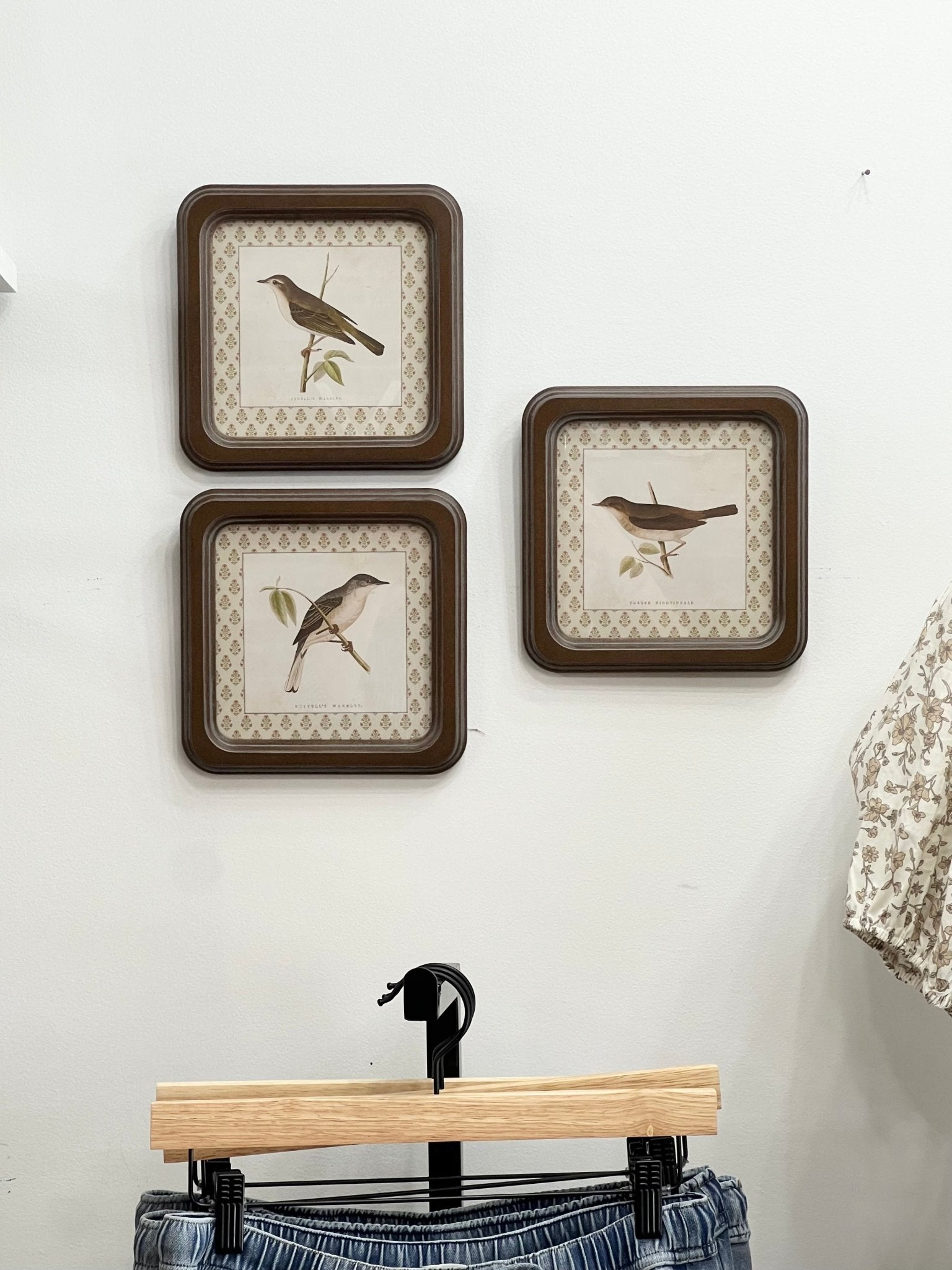 Framed Bird Prints - The Cozy Nest