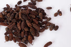 Frasier Fir Scented Pinecones - The Cozy Nest