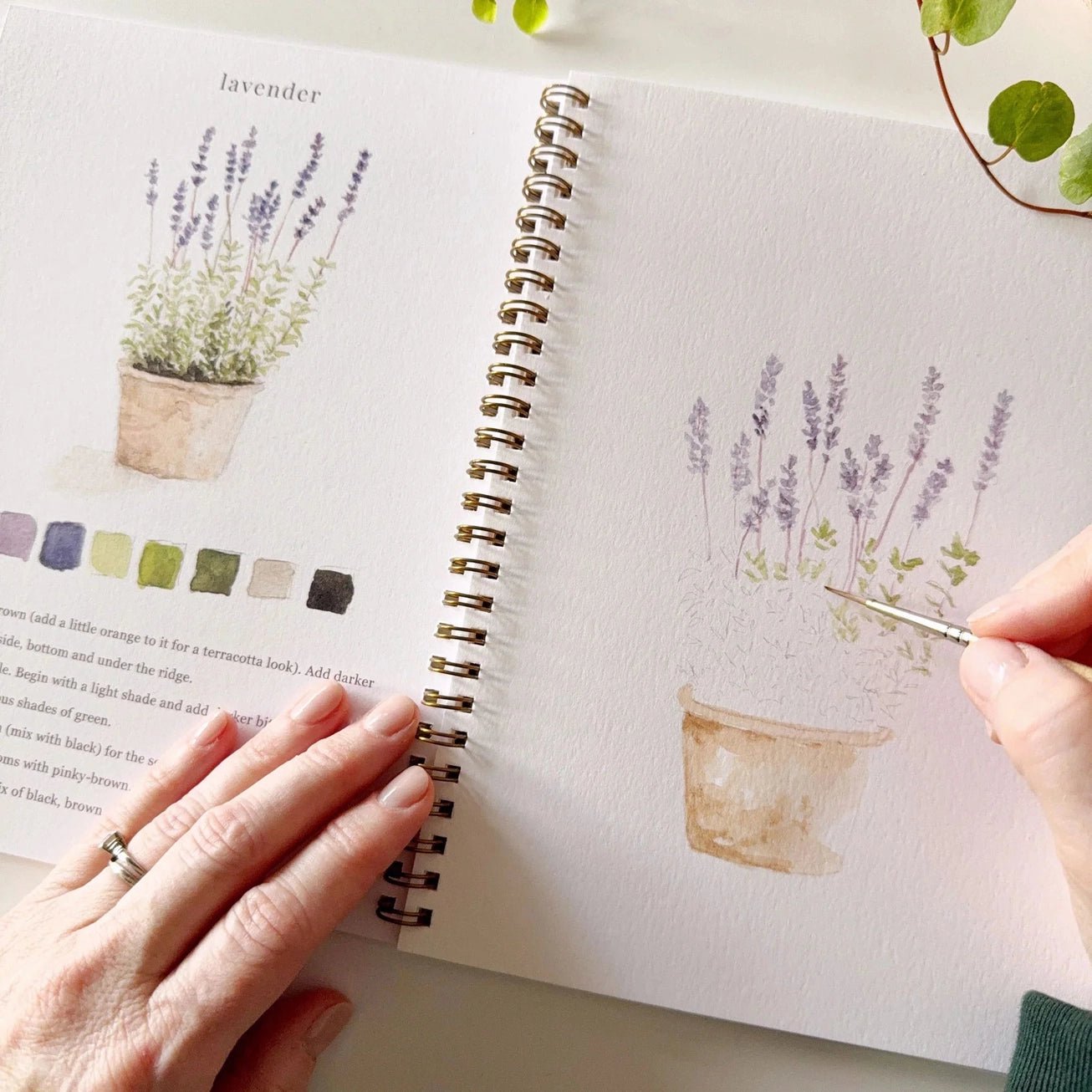 Garden Watercolor Workbook - The Cozy Nest