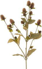 Globe Amaranth Spray - The Cozy Nest