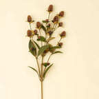 Globe Amaranth Spray - The Cozy Nest
