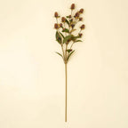 Globe Amaranth Spray - The Cozy Nest