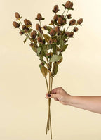 Globe Amaranth Spray - The Cozy Nest