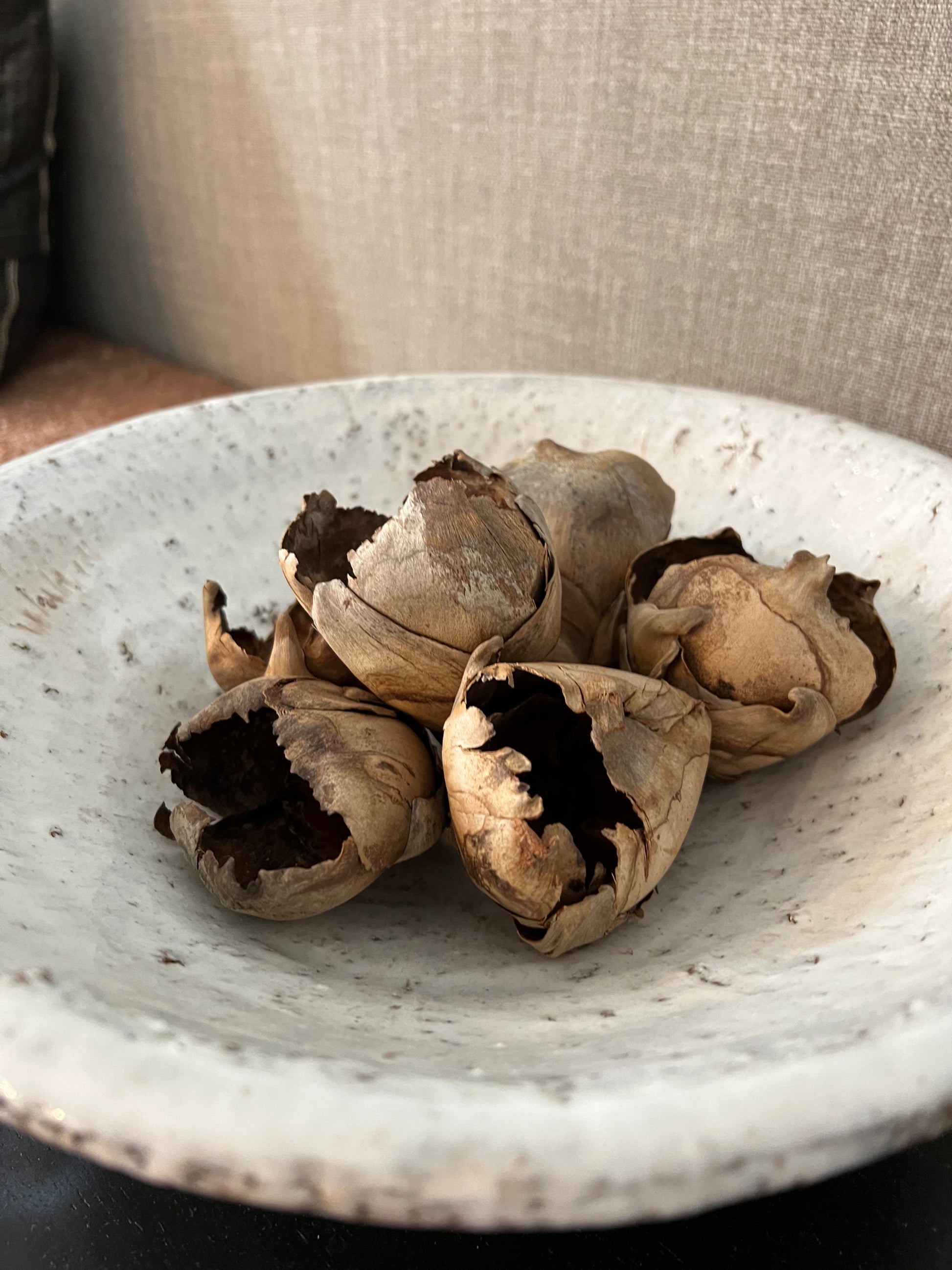 Natural Cacho Pods