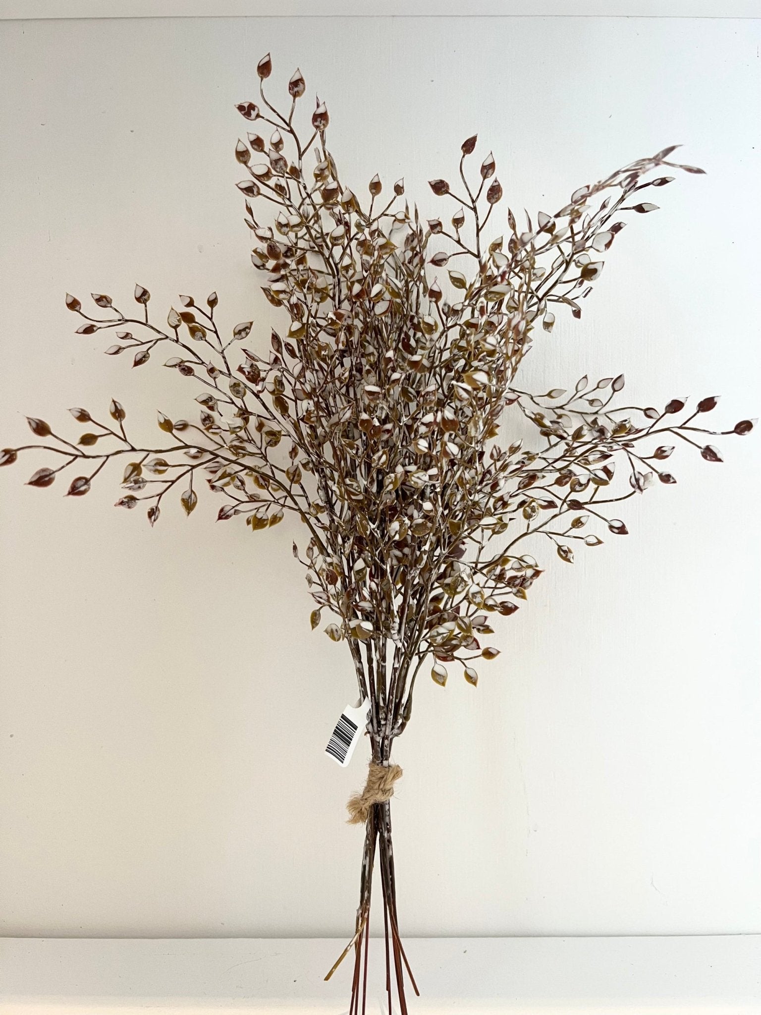 Little Luna Mini Bush - Brown - The Cozy Nest