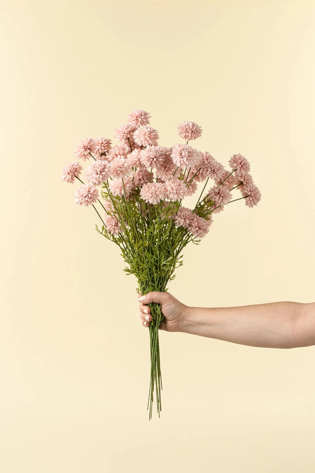 Mini Chrysanthemum Stem - The Cozy Nest