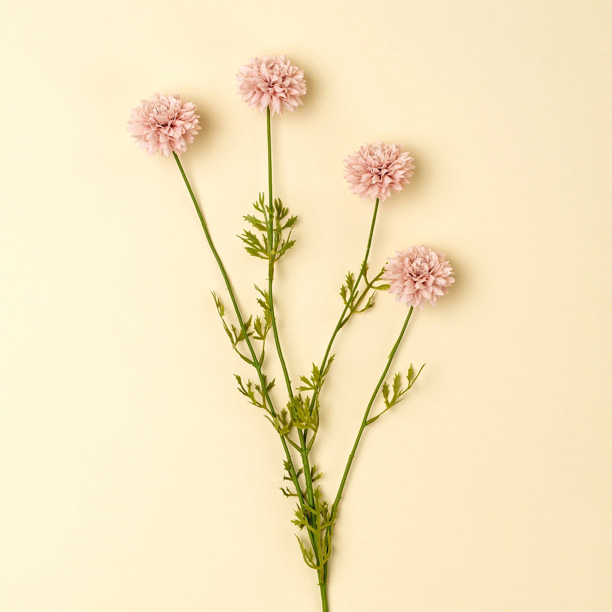 Mini Chrysanthemum Stem - The Cozy Nest