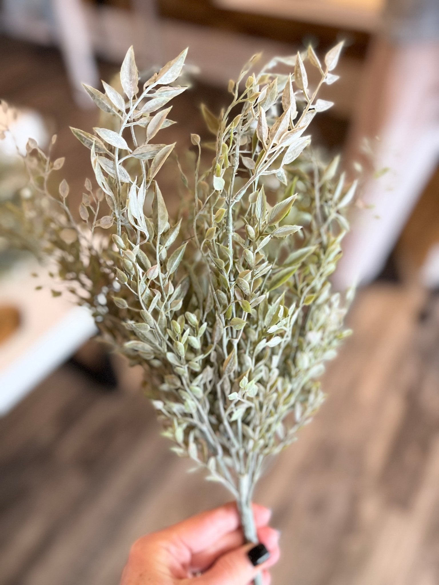 Mixed Sage Bush - The Cozy Nest