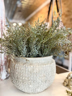 Mixed Sage Bush - The Cozy Nest