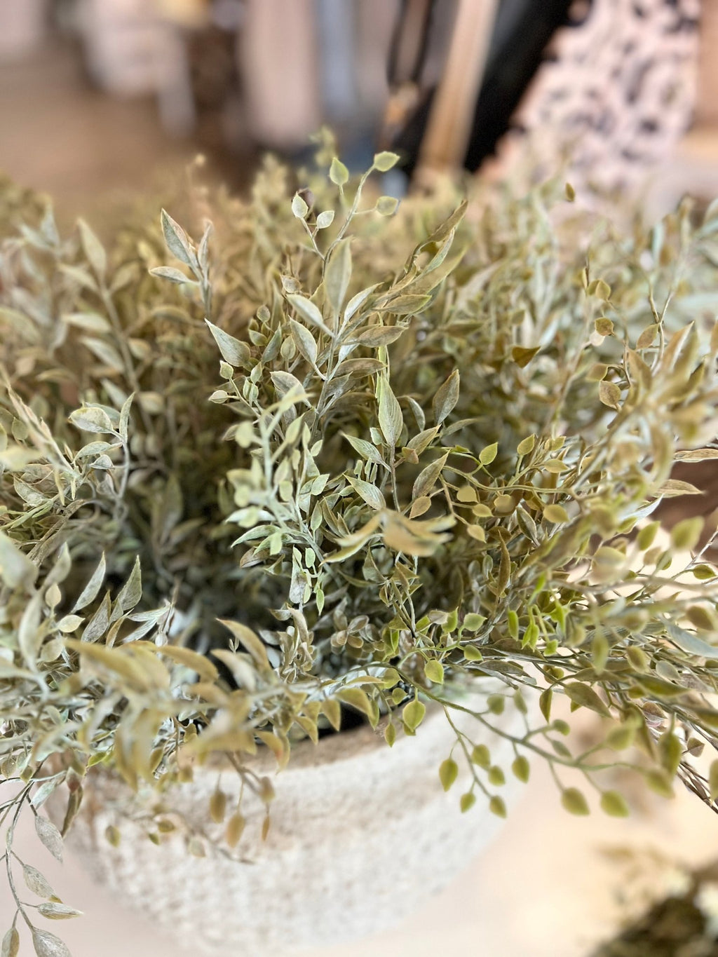 Mixed Sage Bush - The Cozy Nest