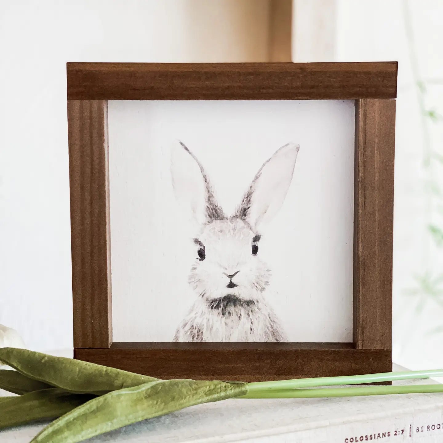 Peter Rabbit Wood Sign - The Cozy Nest