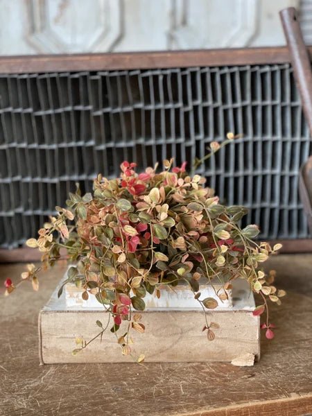 Pimpernel Half Sphere - The Cozy Nest