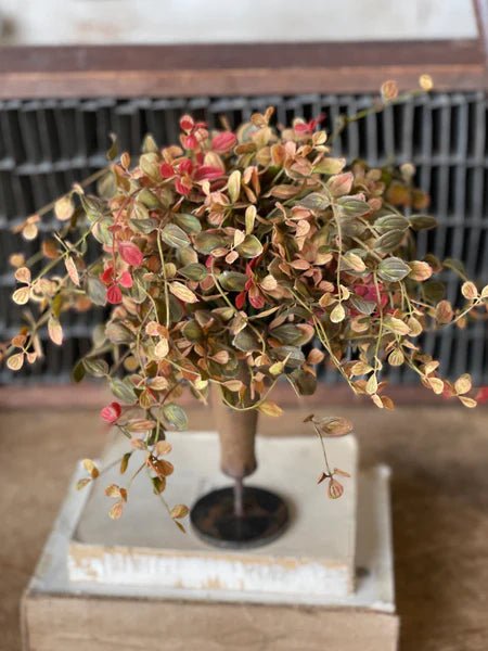Pimpernel Half Sphere - The Cozy Nest