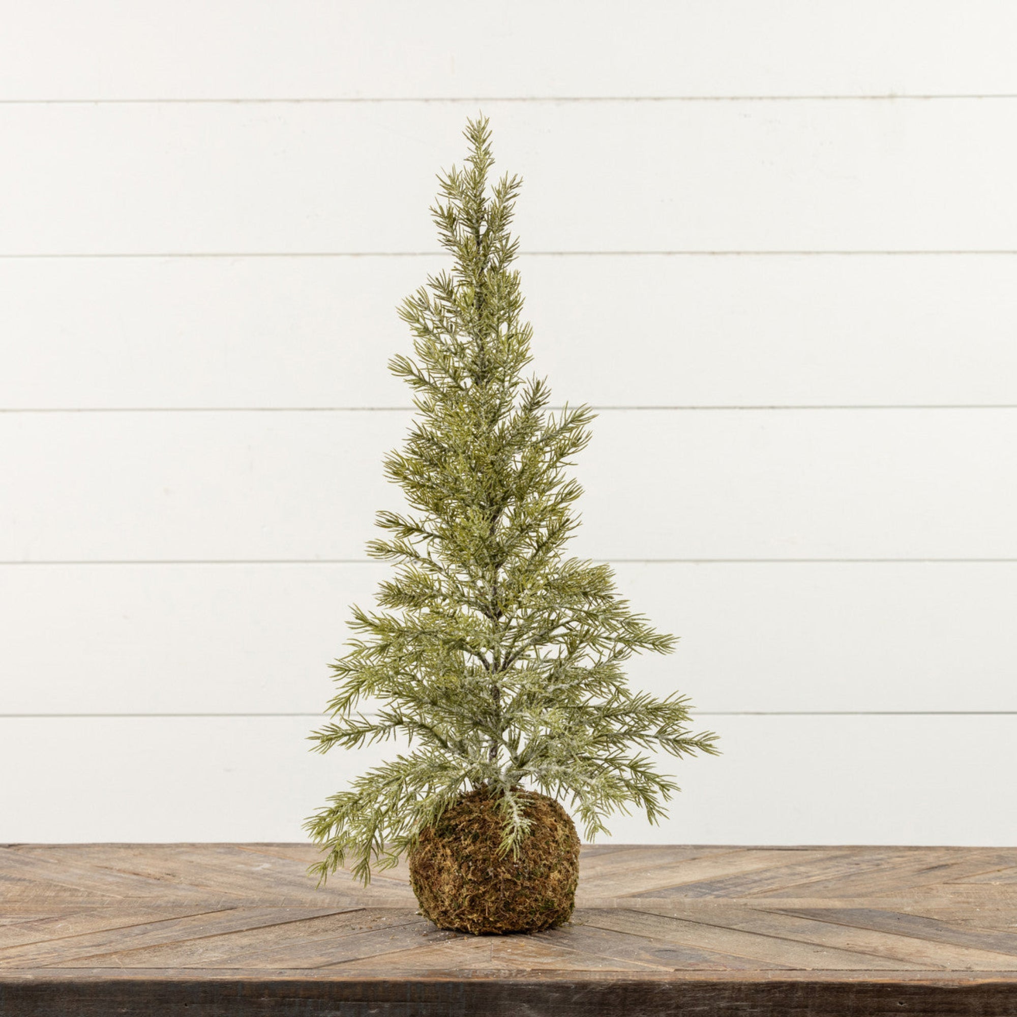 Pine Tree W/Moss Ball Base - Large - The Cozy Nest