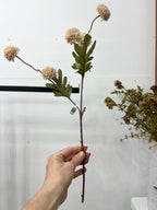 Pom Pom Stem In Linen - The Cozy Nest