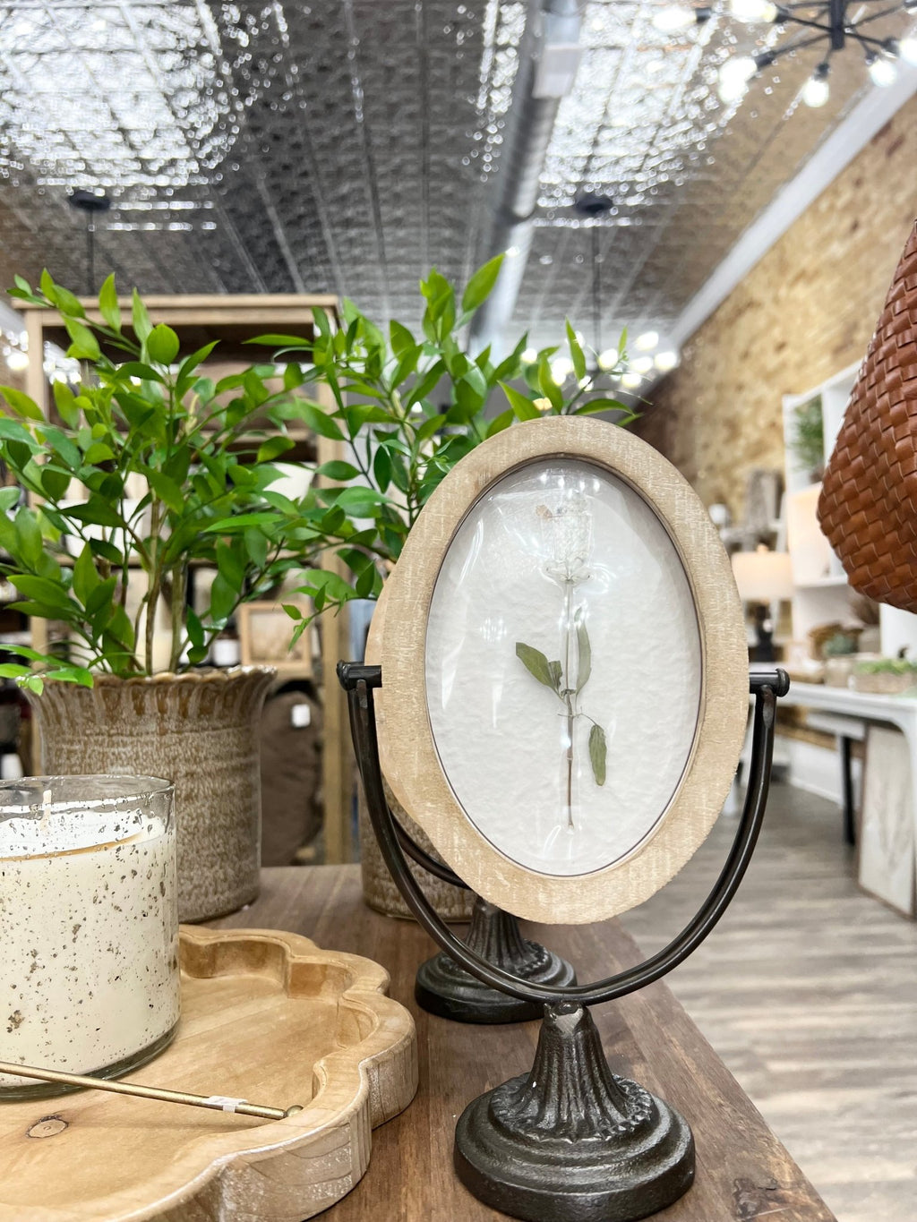Potted Smilax - The Cozy Nest