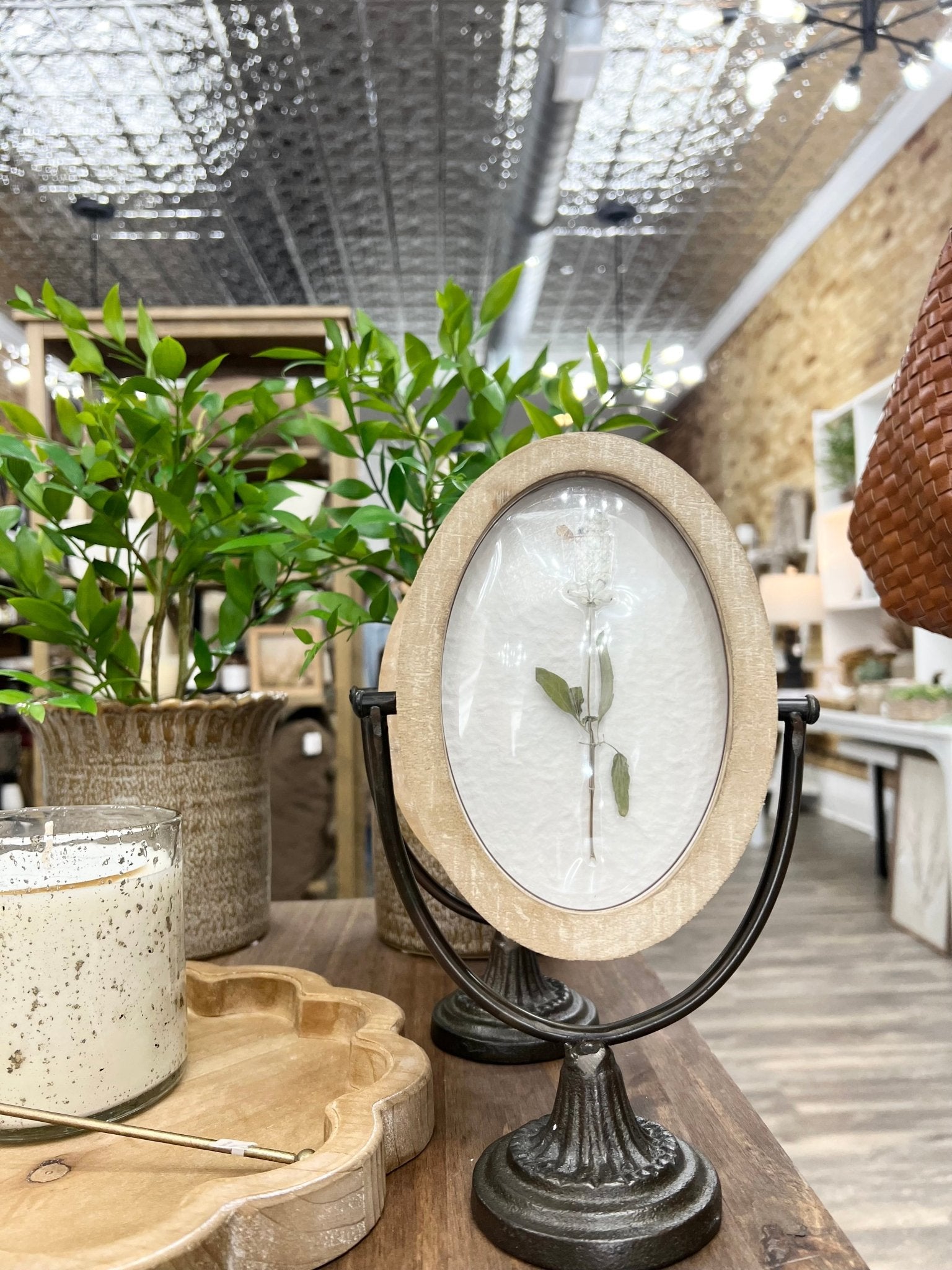 Potted Smilax - The Cozy Nest