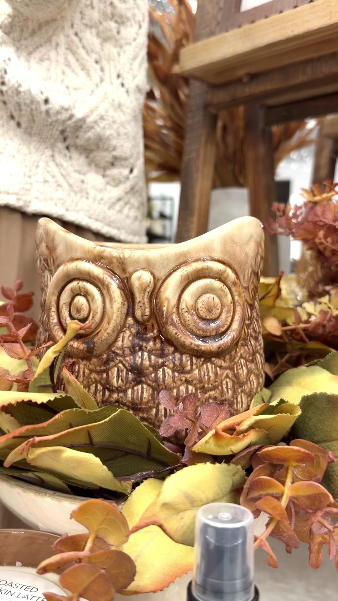 Ceramic Owl Pot