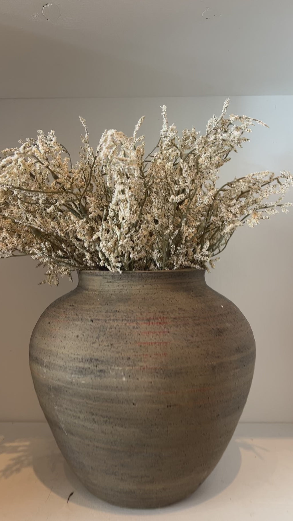 Caspia Bush