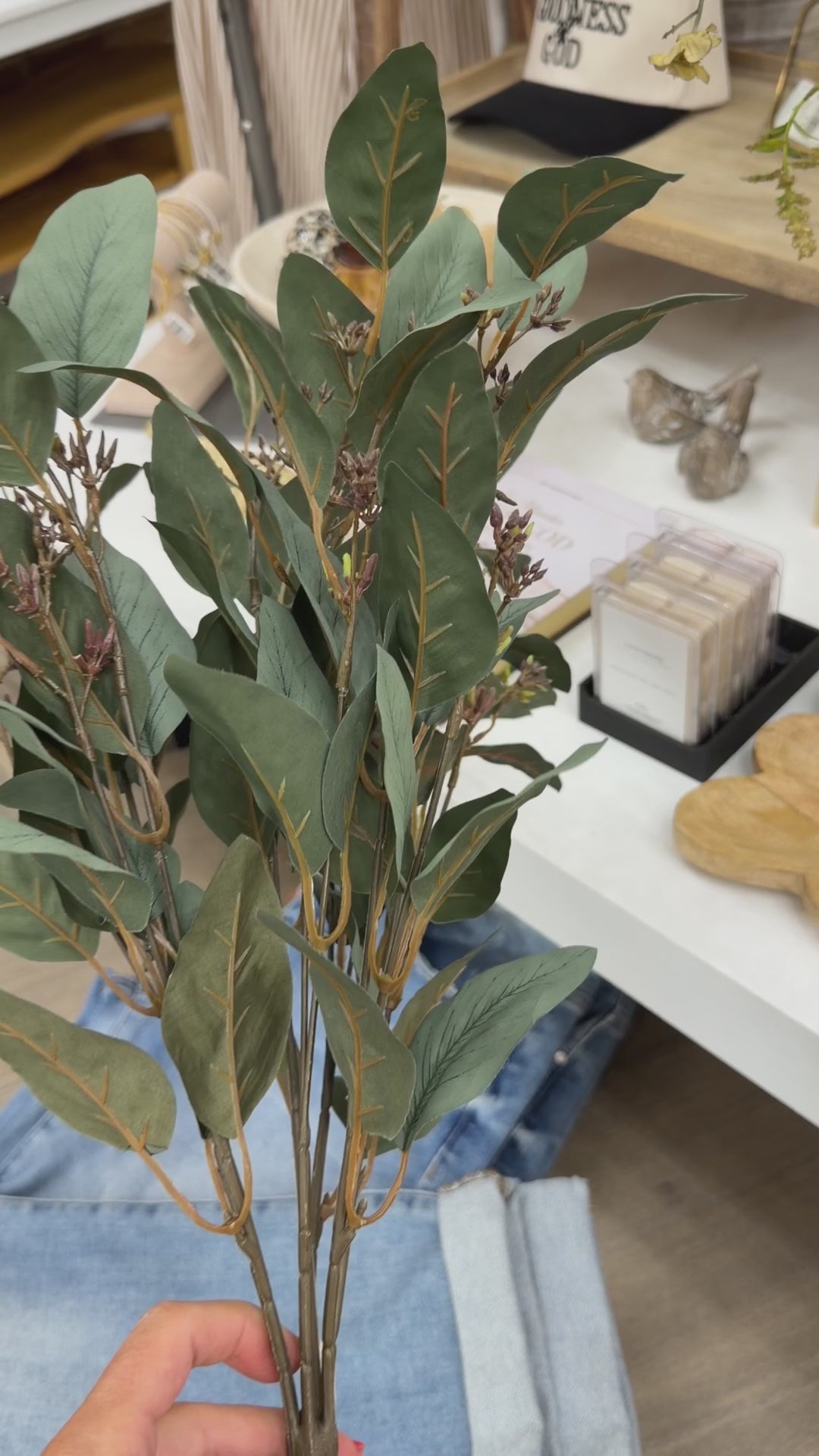 Seeded Eucalyptus