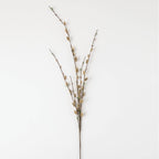 Pussy Willow Stem - The Cozy Nest