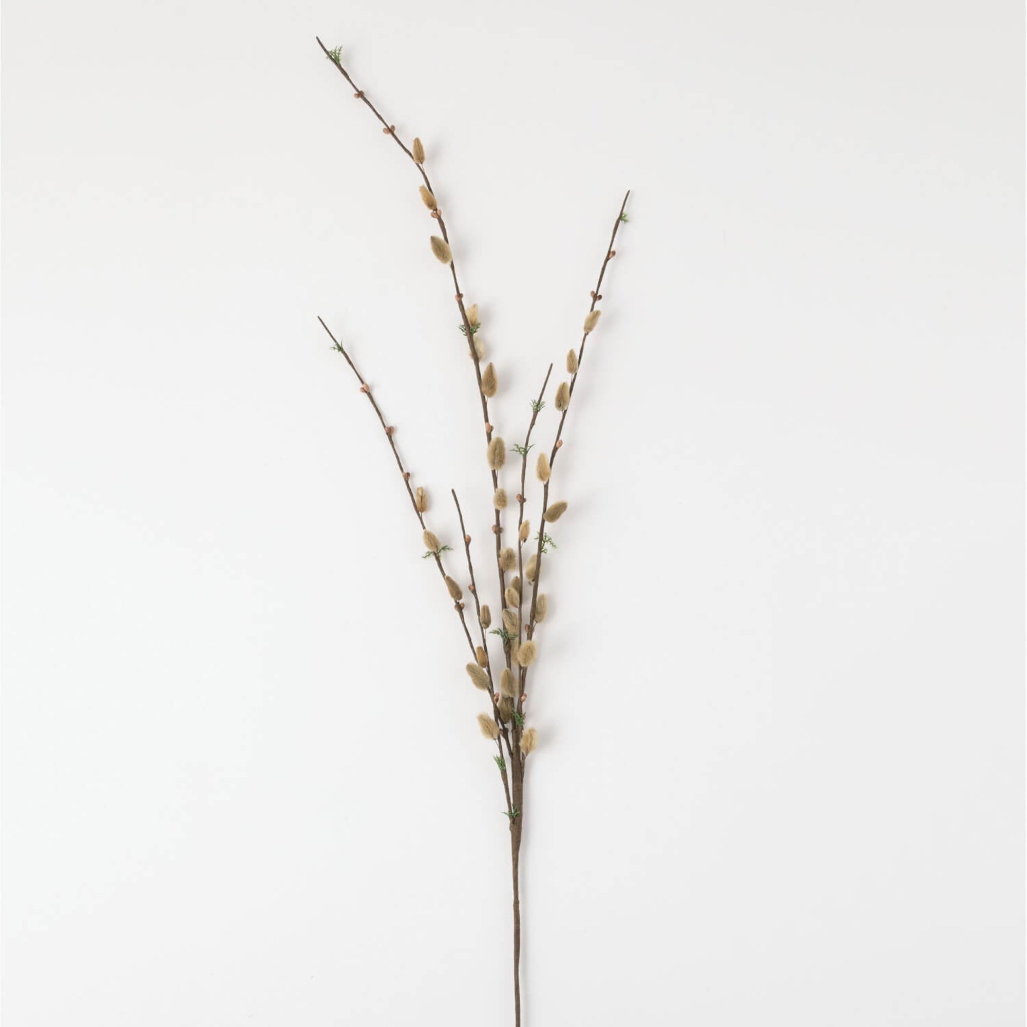 Pussy Willow Stem - The Cozy Nest